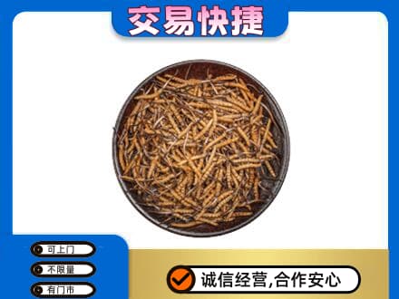 洛阳市栾川回收散虫草