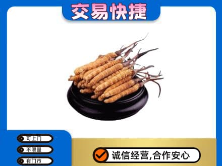 洛阳市栾川礼品回收散虫草.jpg